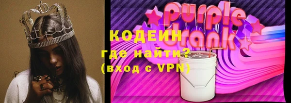 хмурый Корсаков