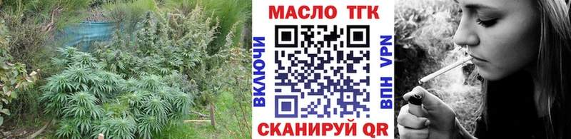 Дистиллят ТГК Wax  Горячеводский 